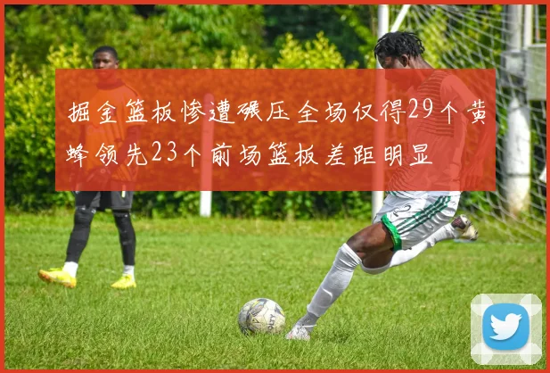 掘金篮板惨遭碾压全场仅得29个黄蜂领先23个前场篮板差距明显