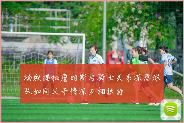 杨毅揭秘詹姆斯与骑士关系深厚球队如同父子情深互相扶持