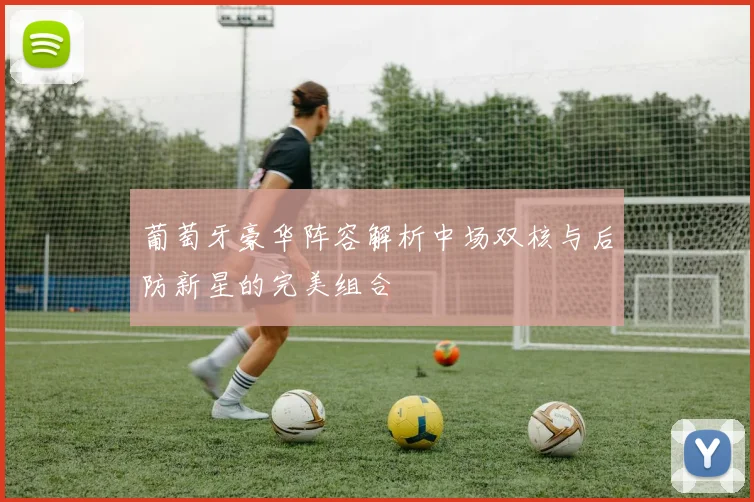 葡萄牙豪华阵容解析中场双核与后防新星的完美组合
