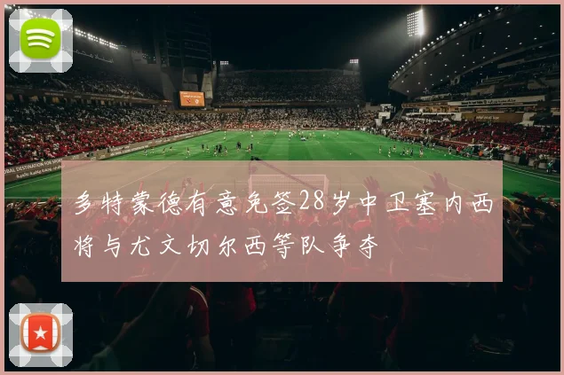 多特蒙德有意免签28岁中卫塞内西将与尤文切尔西等队争夺